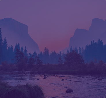 serv